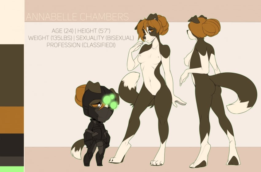 1girls annabelle_chambers bisexual border_collie brown_eyes brown_hair canine collie female hair male mammal model_sheet nude splinter_cell tiel tom_clancy