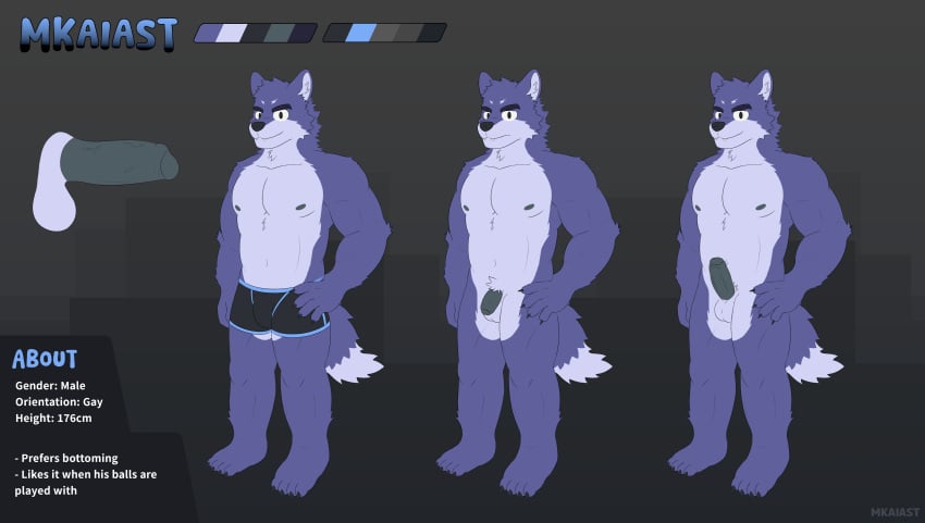 4_toes anthro balls boxers clawed_feet clawed_fingers claws erection eyebrows fluffy furry furry_only humanoid_genitalia humanoid_penis looking_at_viewer male male_only mkaiast mkaiast_(character) muscular nipples nude penis purple_fur reference_sheet standing tail text tuft underwear wolf