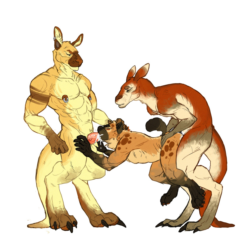 3boys abs anthro balls biceps claws cum cum_in_mouth cum_inside erection feral group group_sex head_grab hyena hyena_boy hyena_ears hyena_humanoid hyena_tail kangaroo kangaroo_ear kangaroo_humanoid male mammal marsupial muscles nipple_piercing nipples nude oral_penetration pecs penis piercing rustin sex size_difference tagme threesome weasyl yaoi