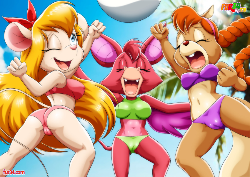 3girls anthro anthrofied bbmbbf chip_'n_dale_rescue_rangers disney female foxglove fur34 furry gadget_hackwrench multiple_girls palcomix swimsuit tammy_squirrel