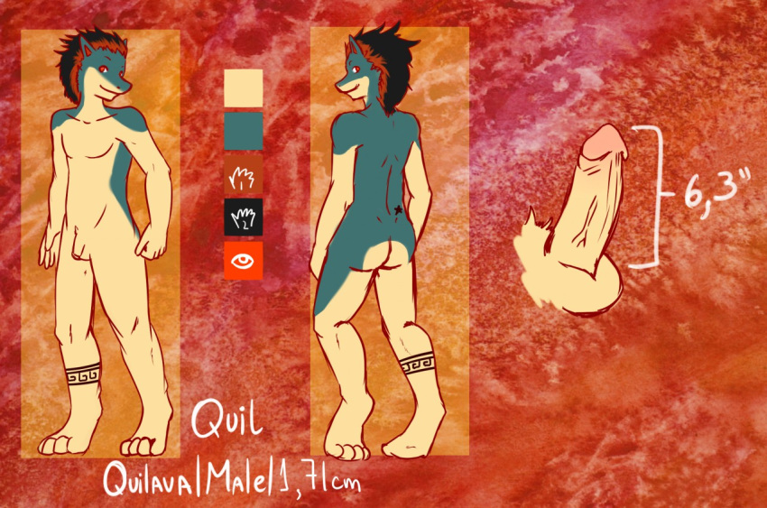 1boy anthro ass feet fur furry heel male male_only model_sheet nude penis pokemon pokemon_(species) quil quilava siriuswolfus soles solo star tattoo toes veins