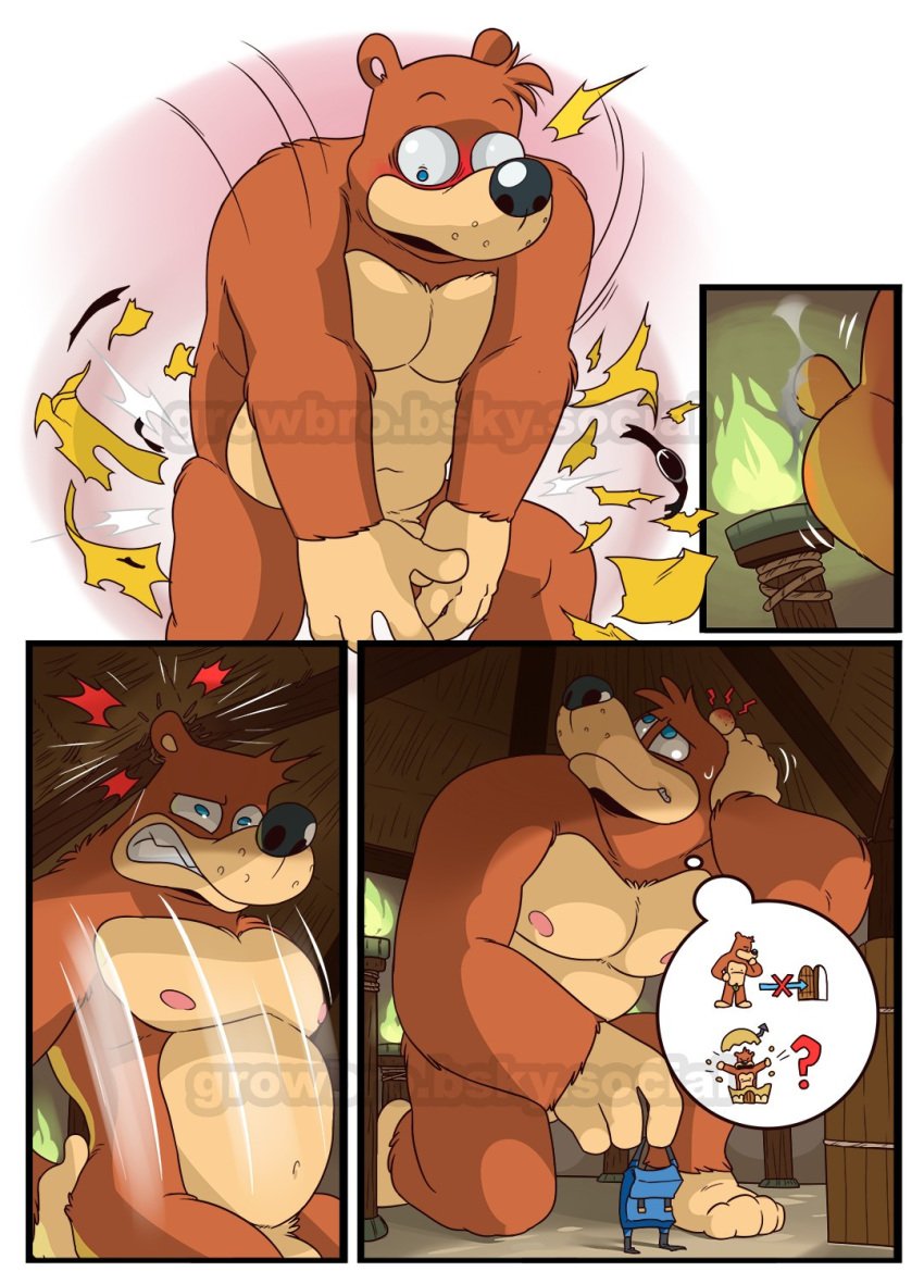 anthro banjo-kazooie banjo_(banjo-kazooie) bear belly blue_eyes bottomwear brown_body brown_fur clothing comic flaccid fur genitals growbro growing hi_res macro male mammal nipples nude pecs penis rareware shorts slightly_chubby solo torn_clothing