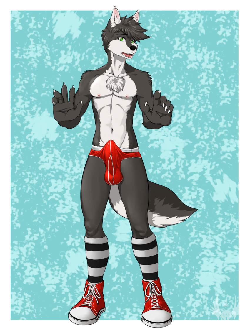 1boy anthro bulge canine clothing crisp_the_wolf eldiman erection footwear male male_only mammal penis_outline shoes solo underwear wolf