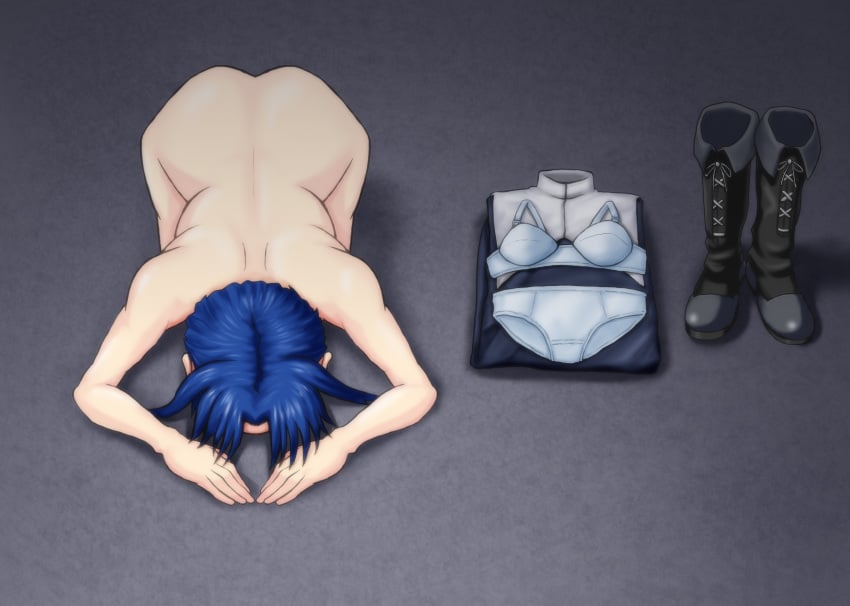 Ciel (Tsukihime) Rule 34 Image