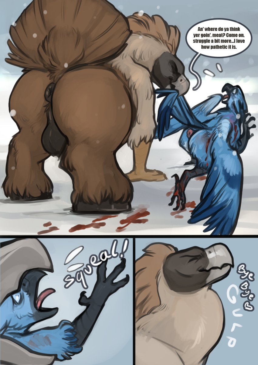 accipitrid accipitriform anal_prolapse anus avian balls bird bite blood bodily_fluids bruised duo eagle european_mythology feral genitals gore greek_mythology gryphon hi_res hippogriff male male/male mythological_avian mythological_creature mythology oral_vore outside philippine_eagle pirate_eagle prolapse puffy_anus scared snow squeal swallowing tail tail_bite tail_in_mouth torakuta unwilling_prey vore
