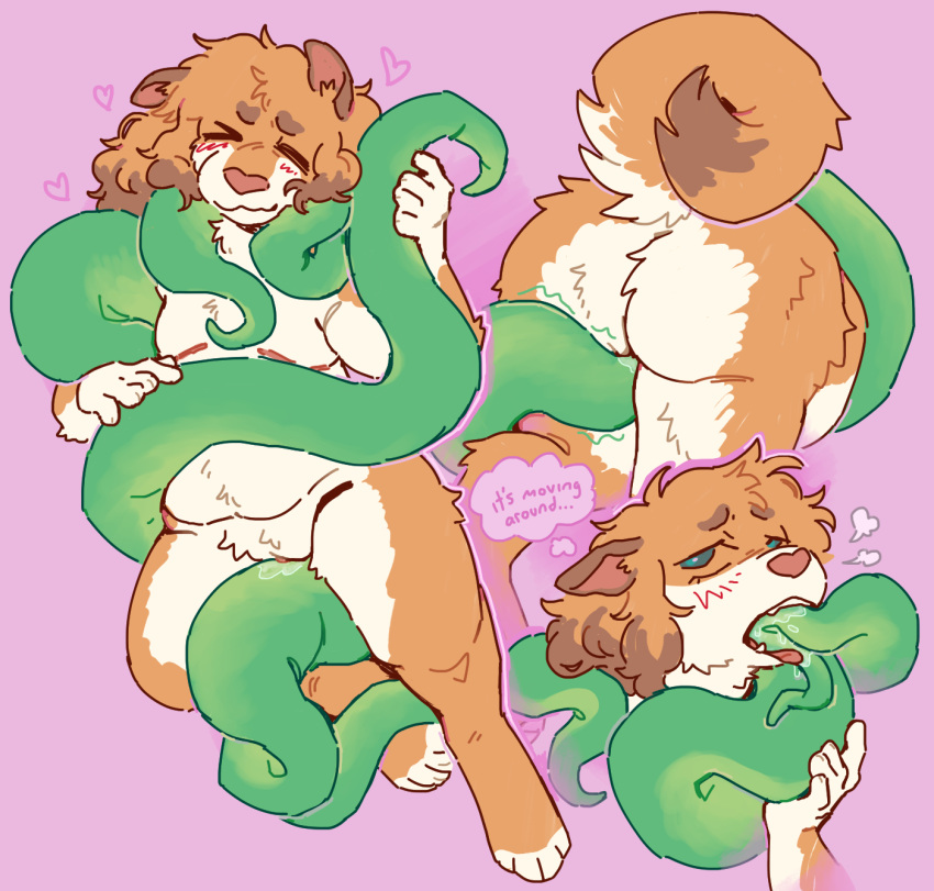andromorph anthro canid canine clitoris consentacles cuddling cuntboy curled_tail curly_hair disembodied_tentacle felid feline fluffy genitals green_tentacles hair hi_res hybrid intersex licking mammal mastectomy_scar oral oral_penetration penetration scar slightly_chubby solo spud_(squishysheepie) squishysheepie tail tentacle tentacle_in_mouth tentacle_lick tentacle_penetration tongue trans_(lore) transgender