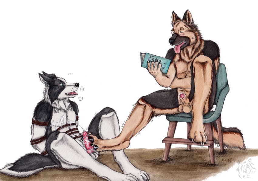 anthro anthro_on_anthro balls black_body black_fur black_nose black_pawpads blue_eyes bodily_fluids bondage bondage book border_collie bound canid canine canis cheek_tuft collie cum cum_on_feet cum_on_penis cumshot domestic_dog duo ejaculation erection facial_tuft feet foot_fetish foot_play footjob fur genital_fluids genitals german_shepherd herding_dog holding_book holding_object kola_(artist) male male/male mammal neck_tuft nude open_mouth orange_balls orange_body orange_eyes orange_fur pastoral_dog pawpads penis penis_tip red_penis red_tongue restraints rope rope_bondage sex sheepdog simple_background sitting tongue tongue_out tuft white_background white_balls white_body white_fur