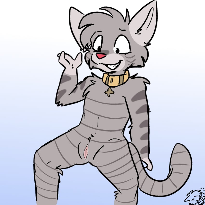 1:1 andromorph anthro catlovingloser collar collar_only cuntboy domestic_cat felid feline felis fur genitals gradient_background grey_body grey_fur hi_res housepets! intersex mammal mti_crossgender nude pussy res_(housepets!) rule_63 simple_background solo spread_legs spreading striped_body striped_fur stripes