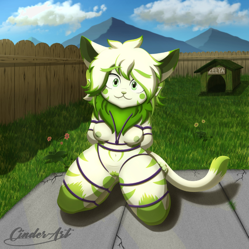 1:1 animal_humanoid anthro areola bondage bondage bondage_gear bound breasts cat_tail cinderart cloud felid feline female fence flower fur garden genitals grass green_body green_eyes hair hi_res humanoid looking_at_viewer mammal mountain nipples nude pet_house plant pussy small_breasts smile solo