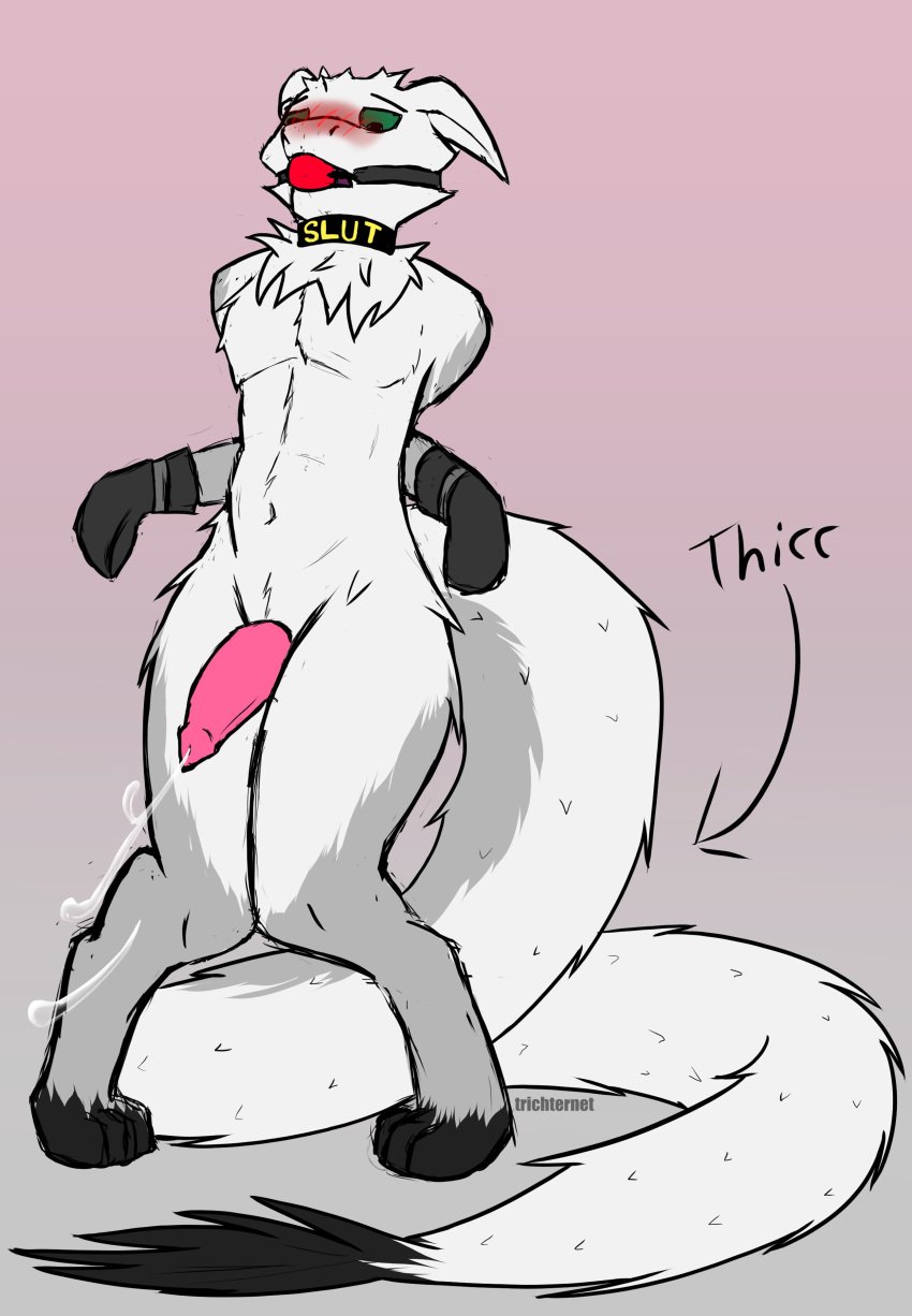 1boy 2d absurd_res anthro ball_gag bent_legs big_penis blush blush_lines bondage bondage_gloves bondage_mittens bound collar collar_only digital_media digitigrade dragon ejaculation femboy fluffy fluffy_thighs full_body furry gag gagged genitals hands-free hi_res hybrid legs_together long_tail looking_down male male_only mitts mythological_creature mythological_scalie mythology neck_tuft nude original penis pink_penis scalie solo tail tapering_penis thick_tail thick_thighs trichternet tuft wit_(trichternet)