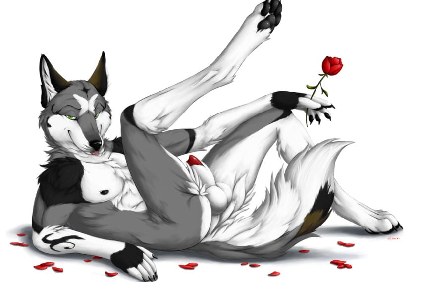 1boy anthro balls canine flower fur green_eyes kenovawolf looking_at_viewer male male_only mammal nude penis penis_tip plant rose seductive sheath solo tongue tongue_out truegrave9 wolf