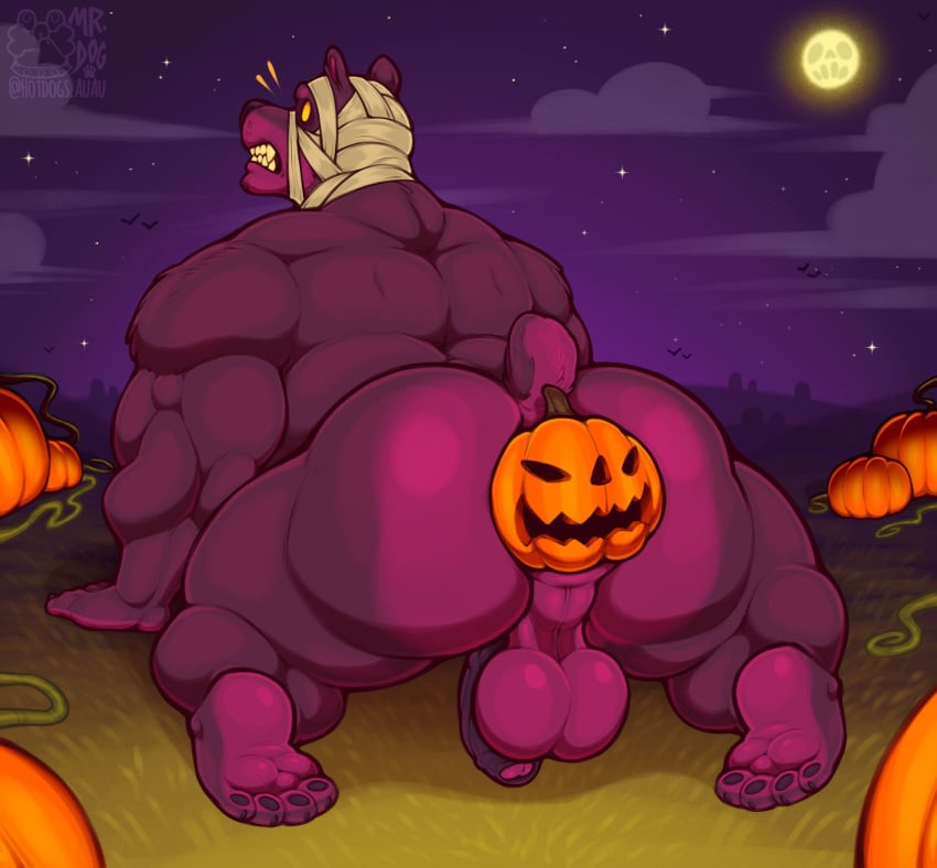 anthro anus ass balls bear clenched_teeth fangs flaccid foreskin fur genitals hi_res hotdogsauau humanoid_genitalia humanoid_penis jack-o'-lantern male mammal multicolored_body multicolored_fur mummy_wrappings muscle_tone muscular muscular_anthro muscular_male no_pupils object_in_ass outdoor_nudity penis perineum purple_body purple_fur solo solo_male teeth two_tone_body two_tone_fur wide_eyed