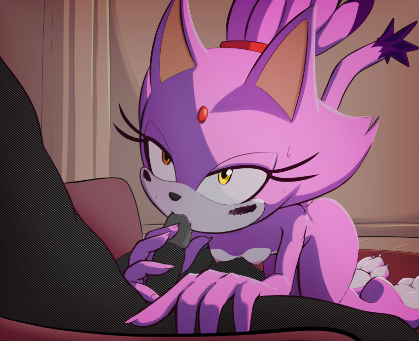 anon anthro blaze_the_cat breasts claws domestic_cat duo faceless_character faceless_male feet felid feline felis fellatio female genitals hi_res male male/female mammal nipples nude oral penile penis purple_body sega sex sonic_(series) sonic_the_hedgehog_(series) spikeybluething toe_claws toes yellow_eyes