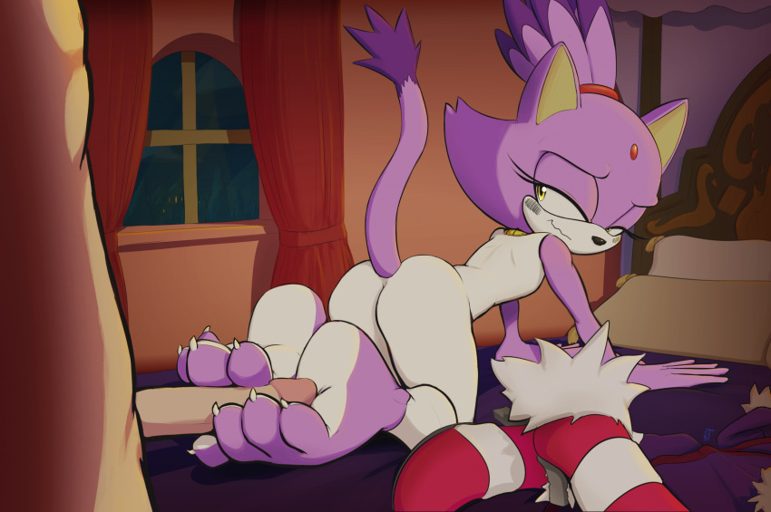 anthro barefoot blaze_the_cat claws clothing domestic_cat feet felid feline felis female foot_fetish foot_play footjob footwear genitals hi_res human looking_back male male/female mammal penis purple_body sega sex shoes shoes_removed sonic_(series) sonic_the_hedgehog_(series) spikeybluething toe_claws toes