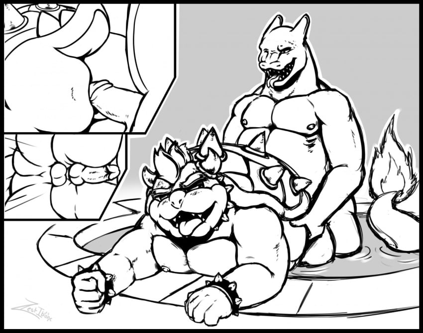 2boys all_fours anal bowser charizard crossover doggy_style from_behind hot_tub male male_only mario_(series) multiple_boys nintendo nude pokemon pokemon_(species) sex video_games yaoi zestibone