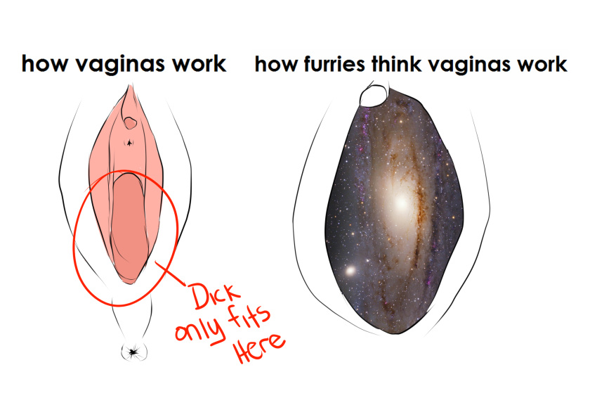 anus clitoris english_text galaxy incorgnito pussy simple_background space text the_truth urethra white_background