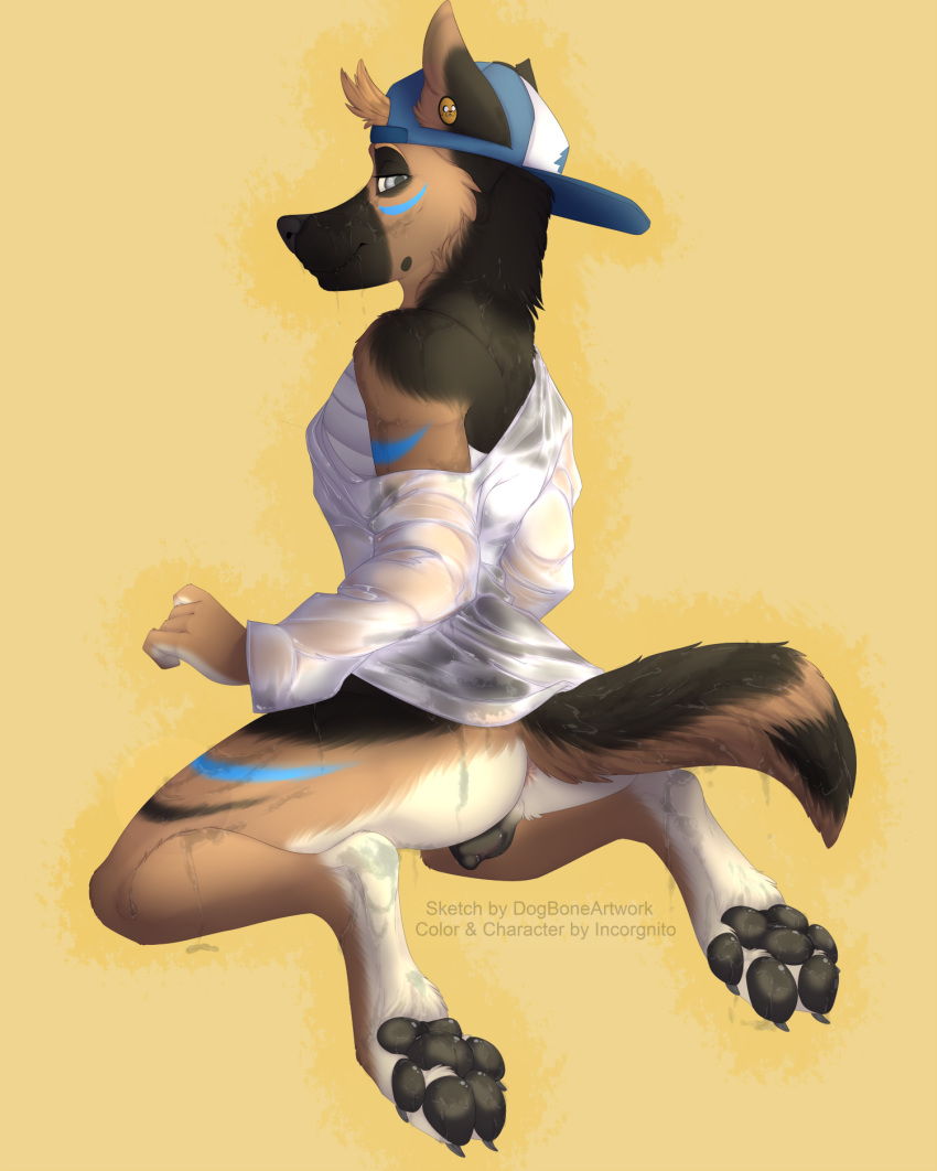 adventure_time animal_genitalia anthro anus baseball_cap bottomless canine canine_pussy clothed clothes digitigrade dog-bone female german_shepherd grey_eyes half-dressed hat hindpaw incorgnito kneeling looking_at_viewer mammal pawpads paws pussy simple_background skylar_(incorgnito) solo wet wet_clothes yellow_background