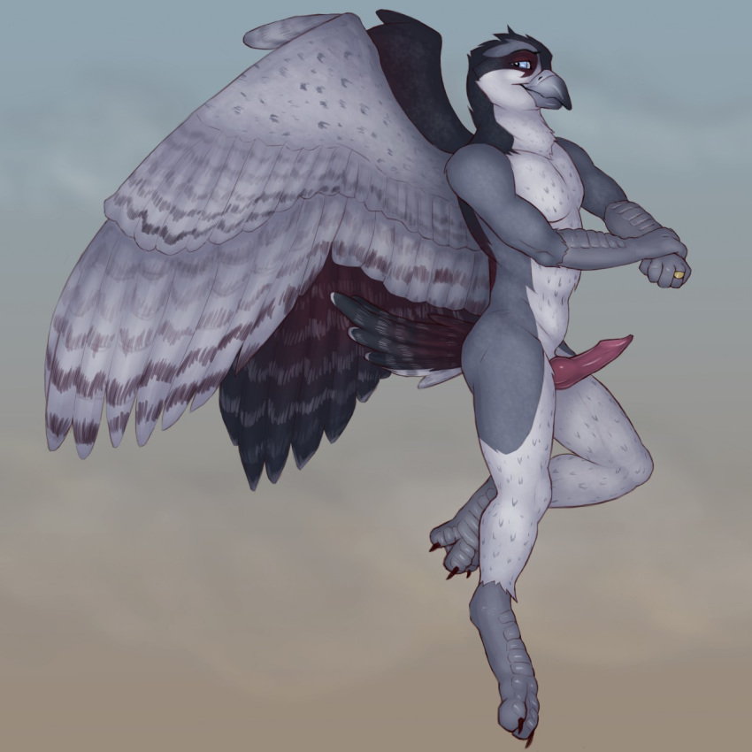 1boy 2015 anthro ass avian beak bird blue_eyes erection falcon feathers grey_feathers half-closed_eyes knot looking_back male male_only multicolored_feathers nude penis peregrine_falcon red_feathers ring side_view smile solo swiftfalcon tail_feathers talons virtyalfobo white_feathers wings