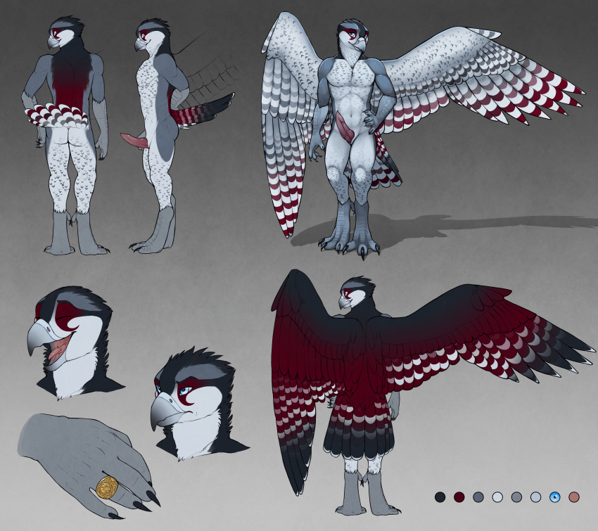 1boy 2015 absurd_res animal_genitalia anthro ass avian beak bird blue_eyes claws erection falcon feathers front_view frown genital_slit grey_feathers hand_on_hip happy hi_res knot male male_only model_sheet multicolored_feathers multiple_angles nude penis peregrine_falcon rear_view red_feathers ring side_view slit smile solo swiftfalcon tail_feathers talons tongue tsaiwolf white_feathers wings