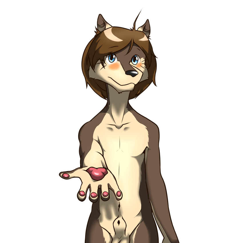 ahoge anthro balls blue_eyes blush brown_hair canine dragononymous front_view fur furry furry_only hair looking_at_viewer male male_only mammal morenatsu navel nude pawpads paws penis reaching sheath shun_(morenatsu) smile solo standing wolf