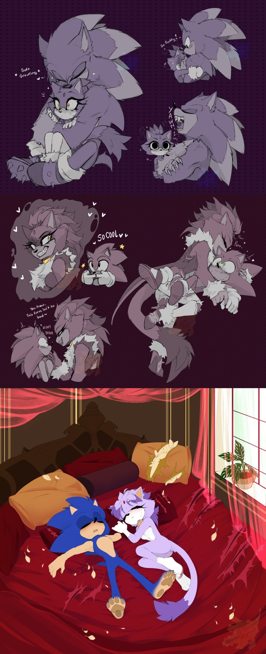 Sonic (Series) Rule 34 Image