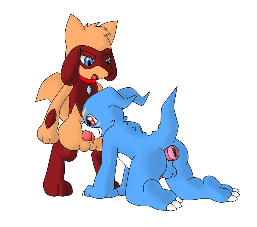 anal anal_sex balls blue_eyes canine crossover digimon duo erection fur ilaima male mammal nintendo nude open_mouth oral penetration penis pokémon_(species) pokemon red_eyes riolu sex sex_toy shiny_pokemon tongue veemon video_games yaoi