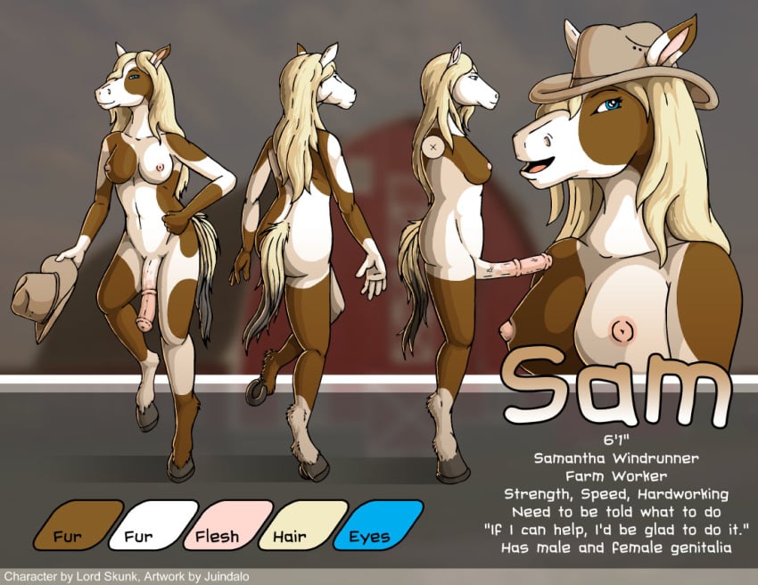 1futa cowboy_hat cowgirl dickgirl equine full-length_portrait full_length furry futa_only futanari hat horse horsecock intersex juindalo model_sheet portrait solo standing