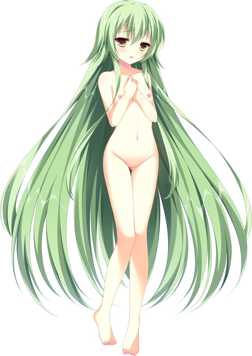 agekichi barefoot blush breasts escude first_porn_of_franchise game_cg green_hair long_hair minatsuki_alumi nipples nude panical_confusion shiramochi shiwasu_horio small_breasts teo_(panical_confusion) transparent_background very_long_hair yellow_eyes