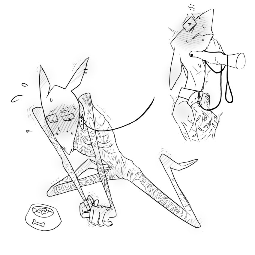 Critter (Smiling Friends) Rule 34 Image
