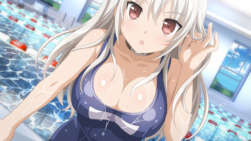 breasts dutch_angle hiromi_(sakura_swim_club) sakura_swim_club swimming_pool tagme wanaca wet white_hair winged_cloud