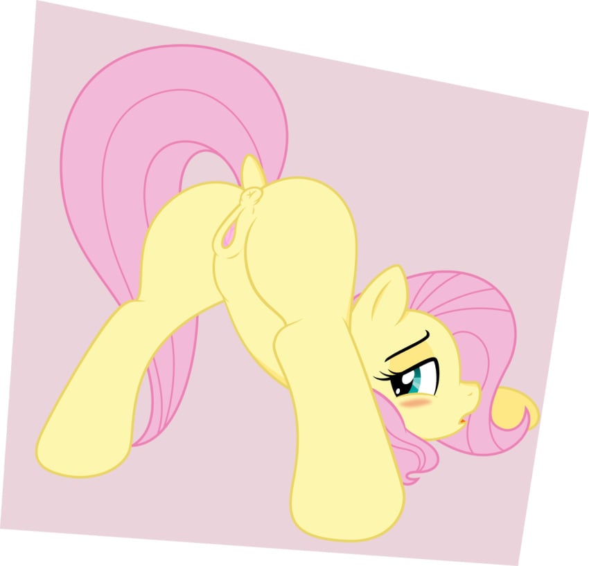 anus female fluttershy_(mlp) friendship_is_magic my_little_pony nudity pony solo straight_hair vagina vector