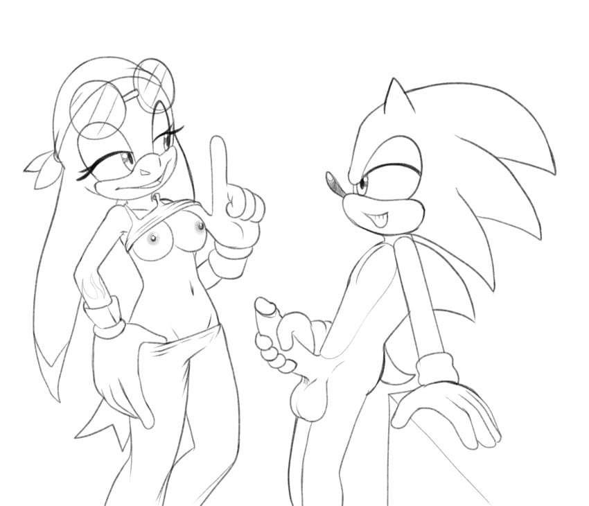 anthro avian bird breasts clothed clothing clothing_lift duo eulipotyphlan eyewear female fours_(artist) glasses hedgehog hi_res hirundinid male mammal masturbation nipples oscine pants passerine pulling_down sega shirt shirt_lift sketch sonic_(series) sonic_riders sonic_the_hedgehog sonic_the_hedgehog_(series) swallow_(bird) topwear wave_the_swallow