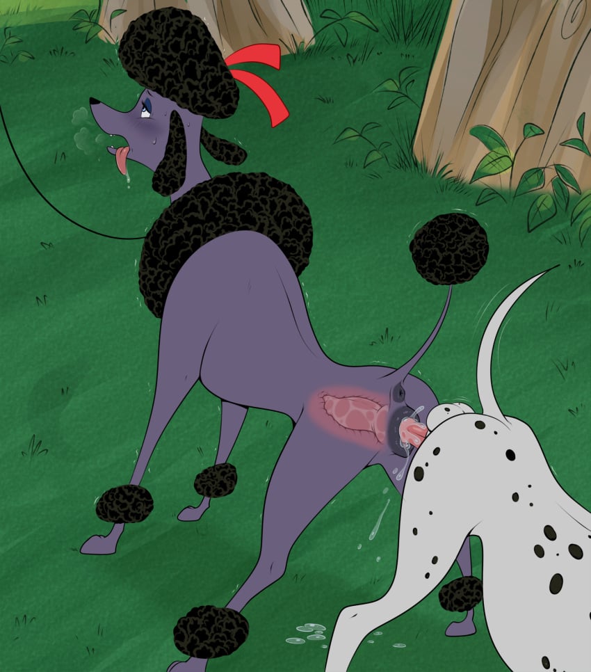 101_dalmatians 2025 animal_genitalia animal_penis animal_pussy anus balls canid canine canine_genitalia canine_penis canine_pussy canis dalmatian disney domestic_dog duo female female_feral feral feral_on_feral genitals hi_res internal knotting lonbluewolf male male/female male_feral mammal penetration penis poodle pussy sex vaginal_penetration vaginal_penetration