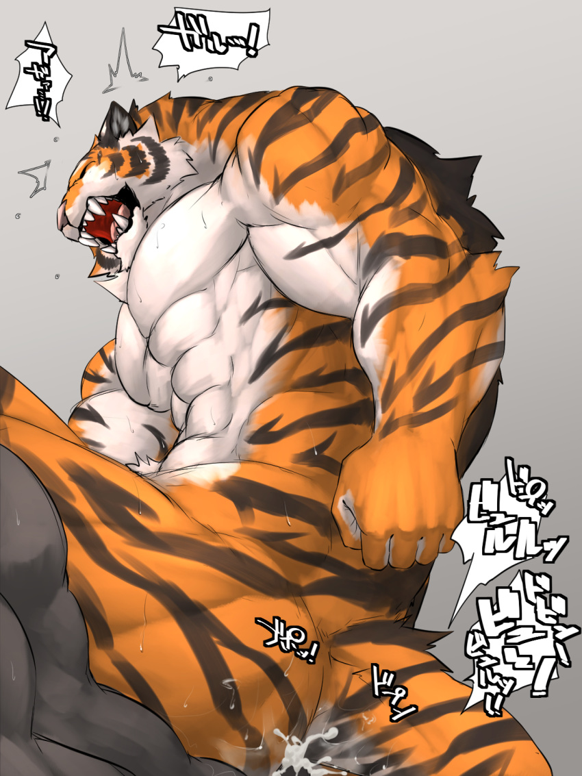 abs anal anthro biceps big_muscles black_fur closed_eyes cum fangs feline flakjacket0204 fur male mammal muscular muscular_male nude open_mouth orange_fur pecs pink_nose sex simple_background stripes sweat teeth text tiger tongue translation_request white_fur yaoi