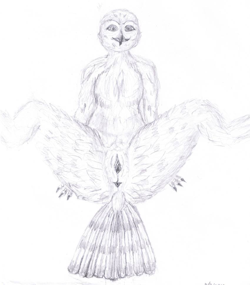 Anus Rule 34 Image