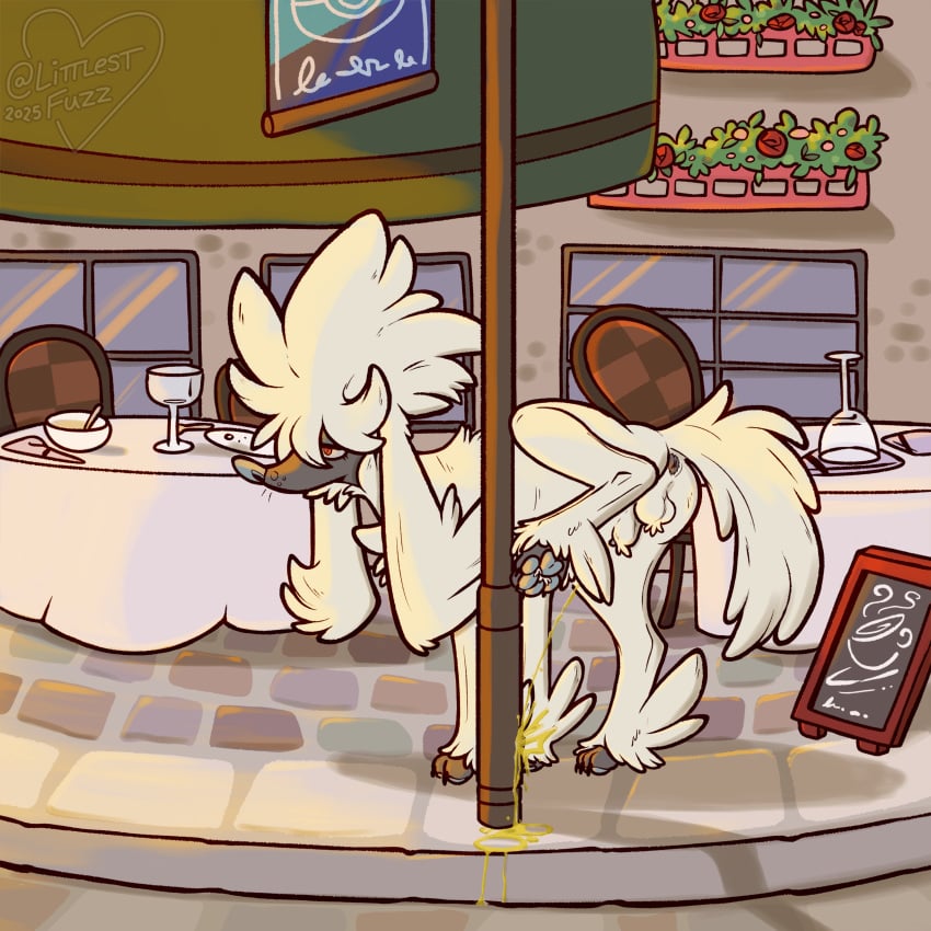 2025 absurd_res animal_genitalia ball_tuft balls blue_nose blue_pawpads bodily_fluids cafe canid chair claws colored container cup detailed_background digital_drawing_(artwork) digital_media_(artwork) feral flower fluffy fluffy_ears fluffy_paws fluffy_tail fur furfrou furniture generation_6_pokemon genital_fluids genitals glass glass_container glass_cup grey_anus grey_body half-closed_eyes hi_res hiked_leg littlestfuzz male male_peeing mammal marking_territory narrowed_eyes natural_furfrou nintendo outside pawpads paws peeing penis penis_tip plant pokemon pokemon_(species) post public_urination quadruped raised_leg red_eyes restaurant shaded sheath sheath_tuft sidewalk signpost solo standing table tail toe_claws tuft urine urine_on_ground urine_pool urine_stream watersports white_body white_fur window