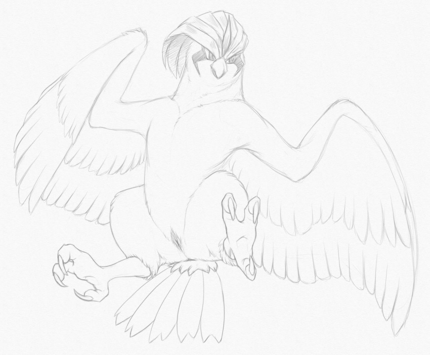 2015 animal_genitalia anus ass avian beak bird claws female feral looking_at_viewer monochrome nintendo nude pencil_(artwork) pidgeotto pokémon_(species) pokemon pussy simple_background sketch solo traditional_media_(artwork) video_games wings yaroul