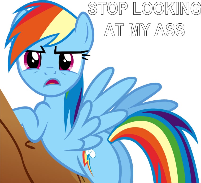 blue_fur confused confused_expression confused_face confused_look cutie_mark d:< english_text equine long_hair mlp my_little_pony pony purple_eyes rainbow_dash_(mlp) rainbow_hair showing_ass spread_wings tagme tail text text_box wings