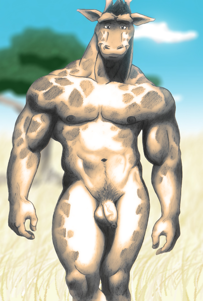 1boy anthro anthro_only balls edit foreskin giraffe humanoid_penis long_foreskin male male_only mammal muscular no_humans nude penis pose rthur solo uncut uncut_penis unknown_editor