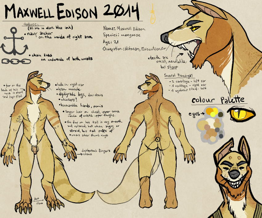 1boy 2014 anapnea anthro ass balls claws digitigrade fangs flaccid front_view male male_only mammal maxwell_(anapnea) model_sheet mongoose notched_ear nude open_mouth penis rear_view sharp_teeth smile solo tattoo teeth toe_claws whiskers yellow_eyes