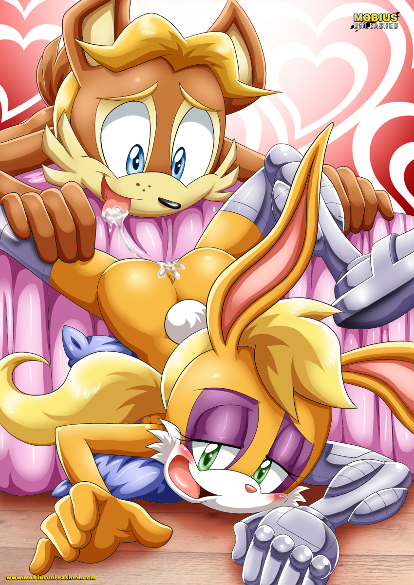 antoine_d'coolette bunnie_rabbot furry furry_only mobius_unleashed sonic_(series)