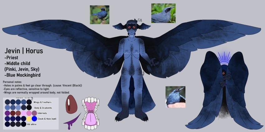 dogteeth harpy jevin_(sprunki) male_only mastectomy_scar mockingbird no_sex reference_sheet sprunki