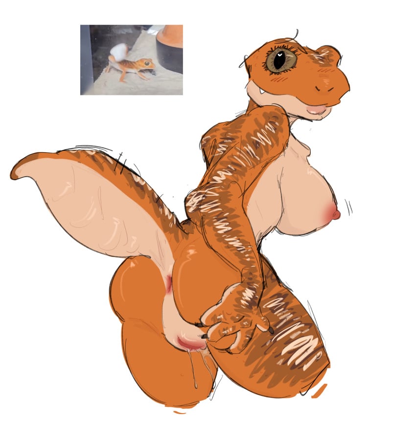 big_breasts big_butt big_thighs blush blush_lines female female_focus female_only gecko heart lips looking_at_viewer looking_back nervous presenting pussy_juice pussy_spreading reptile reptile_humanoid reptile_tail reptilian request requested spread_pussy spreading xawenoff