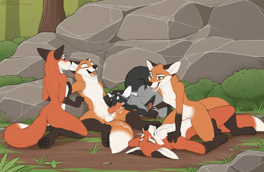 Animal Genitalia Rule 34 Image