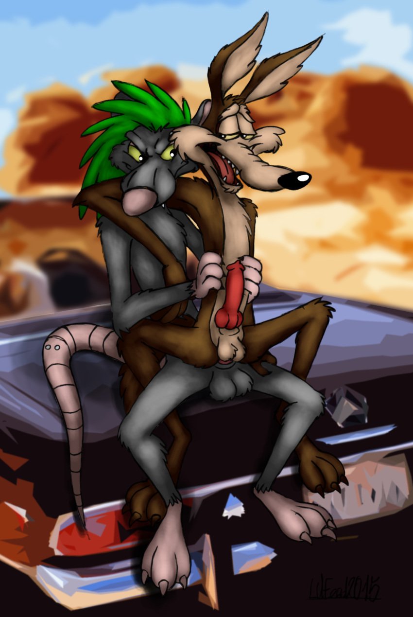 anal canine car coyote desert duo francis knot looney_tunes lufeed male mammal penetration penis rat riding rodent size_difference smooth_fur tongue vehicle warner_brothers wile_e._coyote yaoi