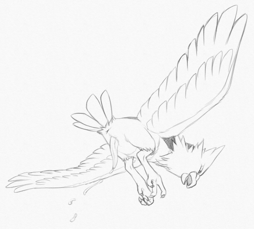 1boy 2015 anus avian beak bird cum doodle feathered_wings feathers feral flying looking_down male male_only monochrome nintendo onisuzume orgasm pencil_(artwork) penis pokemon rear_view simple_background sketch solo spearow spread_wings talons traditional_media_(artwork) video_games white_background wings yaroul