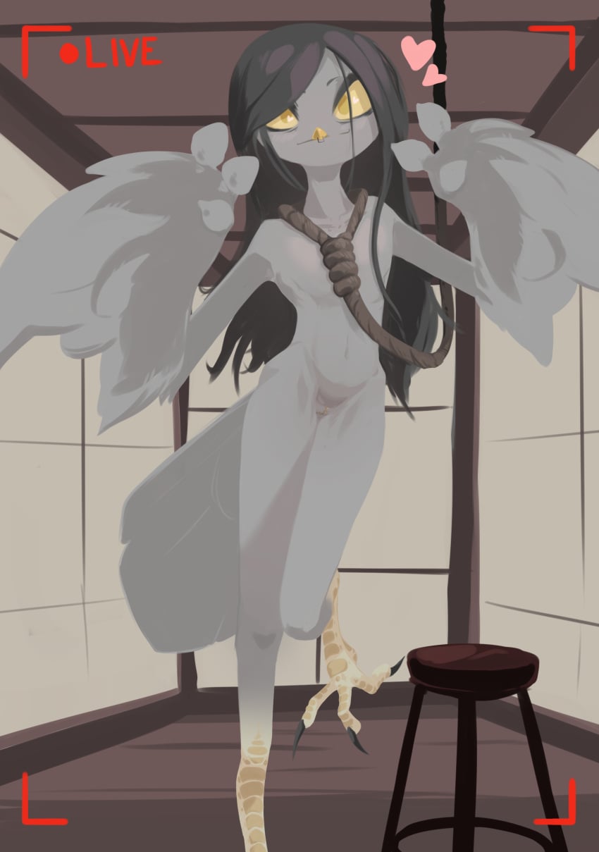 Corvus (Genus) Rule 34 Image