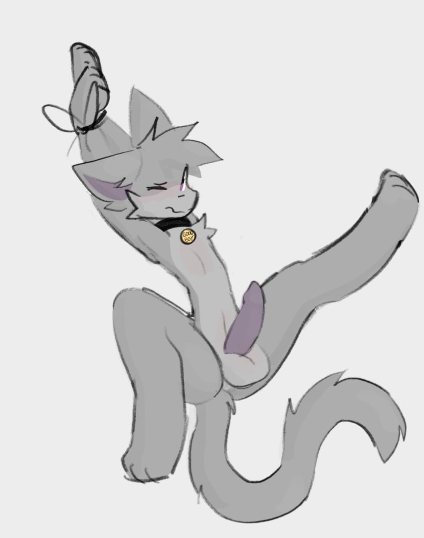 1boy 2025 anthro balls blush cat_ears cat_tail collar commission feline femboy furry gay good_boy one_eye_closed penis purple_ears purple_penis sammy_toyy stretching tag tied_hands tied_up