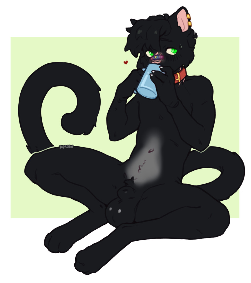 4_fingers animal_genitalia anthro balls band-aid bandage collar container cup felid feline fingers genitals hi_res kyrosh male mammal scar sheath sitting spread_legs spreading