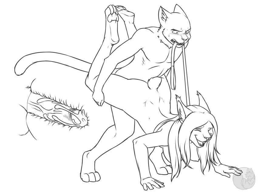 2014 anthro balls bottomless breasts cat closed_eyes clothed clothes collar crystal_(zoey03) cum cum_inside duo feline female from_behind half-dressed internal leash lynx male mammal nateday nude penetration penis sex sketch soup_(character) straight sweat wheelbarrow_position